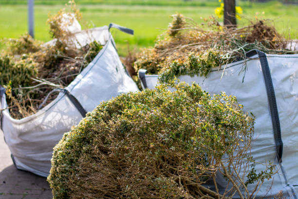 Same-Day Junk Removal Services in Churubusco, IN